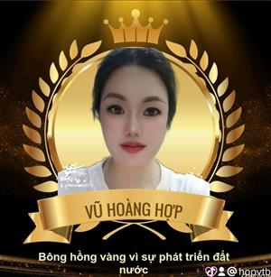 VŨ HOÀNG HỢP